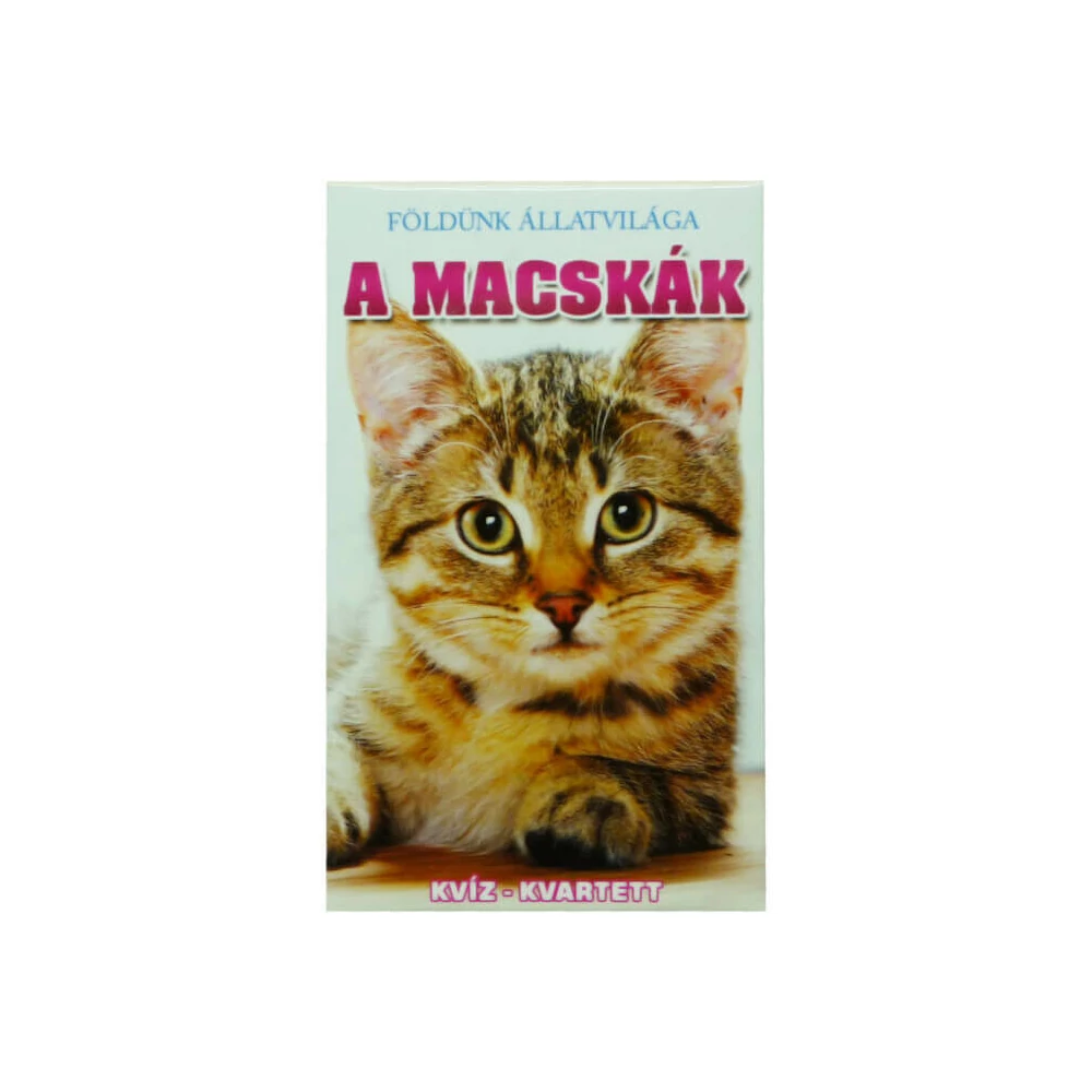 Kártya: A macskák
