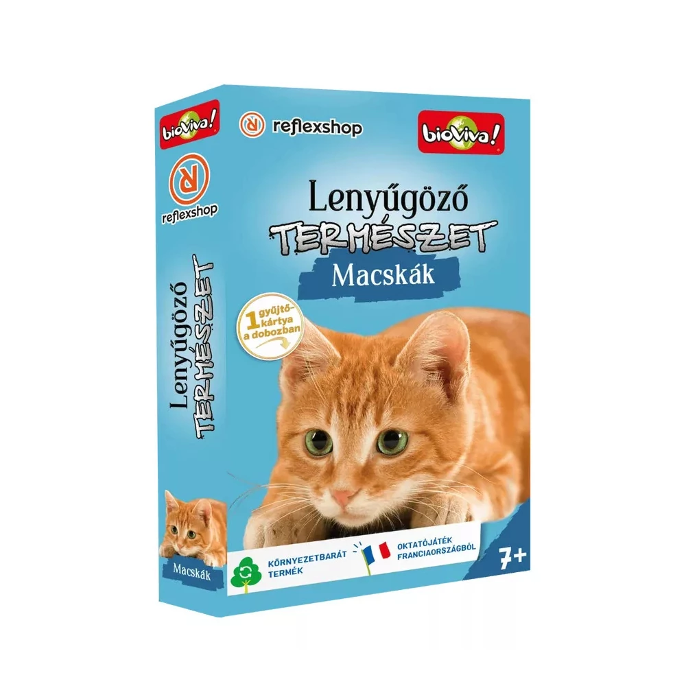 Lenyűgöző természet: Macskák társasjáték