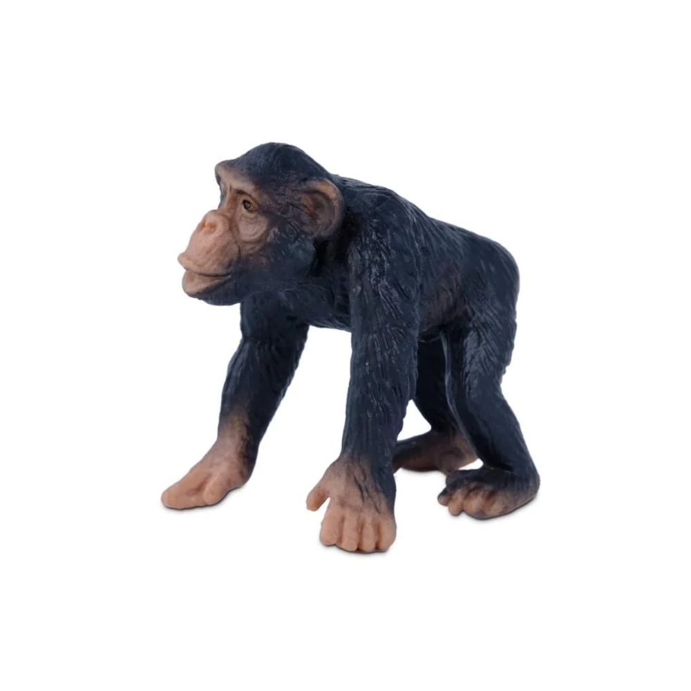 Comansi Little Wild kölyök csimpánz figura
