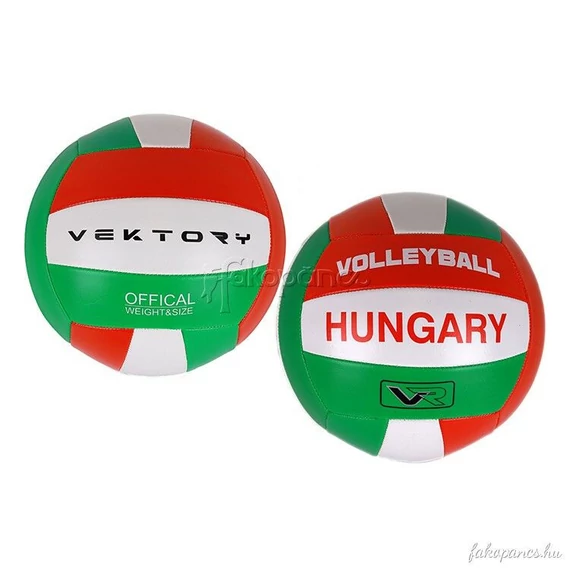 Vektory röplabda (Hungary)