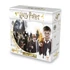 Asmodee, Harry Potter, Egy Tanév Roxfortban